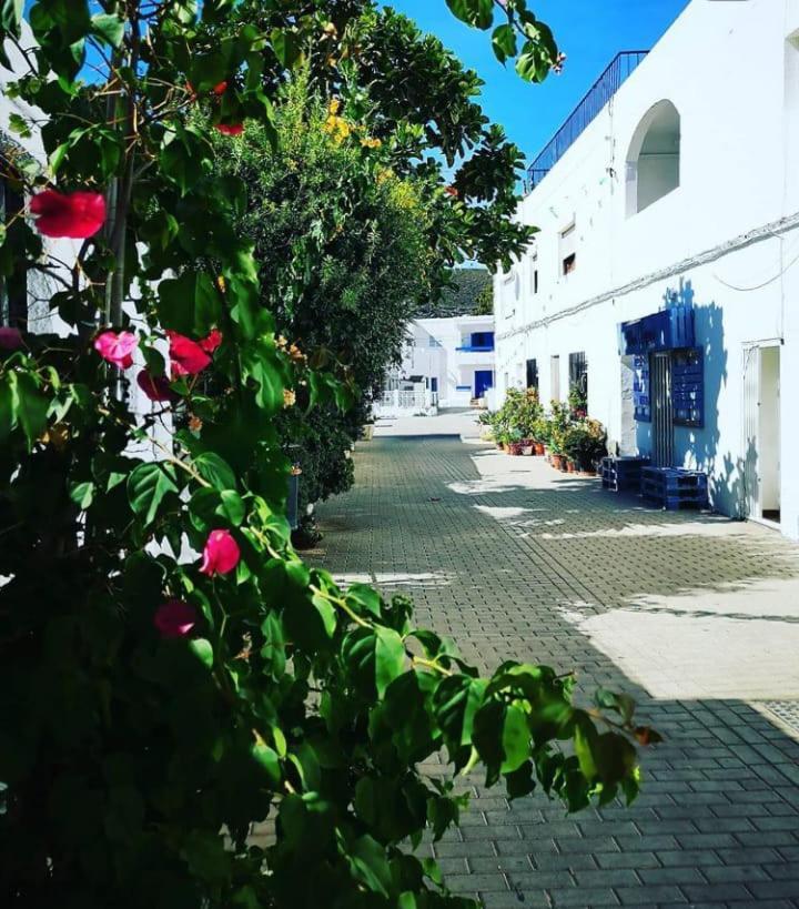 Casa Del Pez Vivienda A Pie De Calle En Agua Amarga A 250 Metros De La Playa Dış mekan fotoğraf